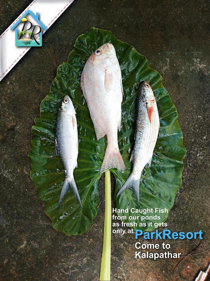 Parkresort - Organic Farm Resort Kala Pathar Beach Ngoại thất bức ảnh