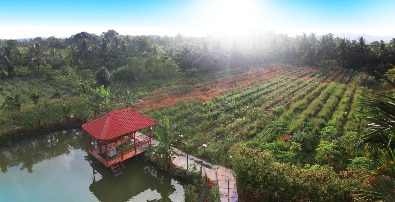 Parkresort - Organic Farm Resort Kala Pathar Beach Ngoại thất bức ảnh