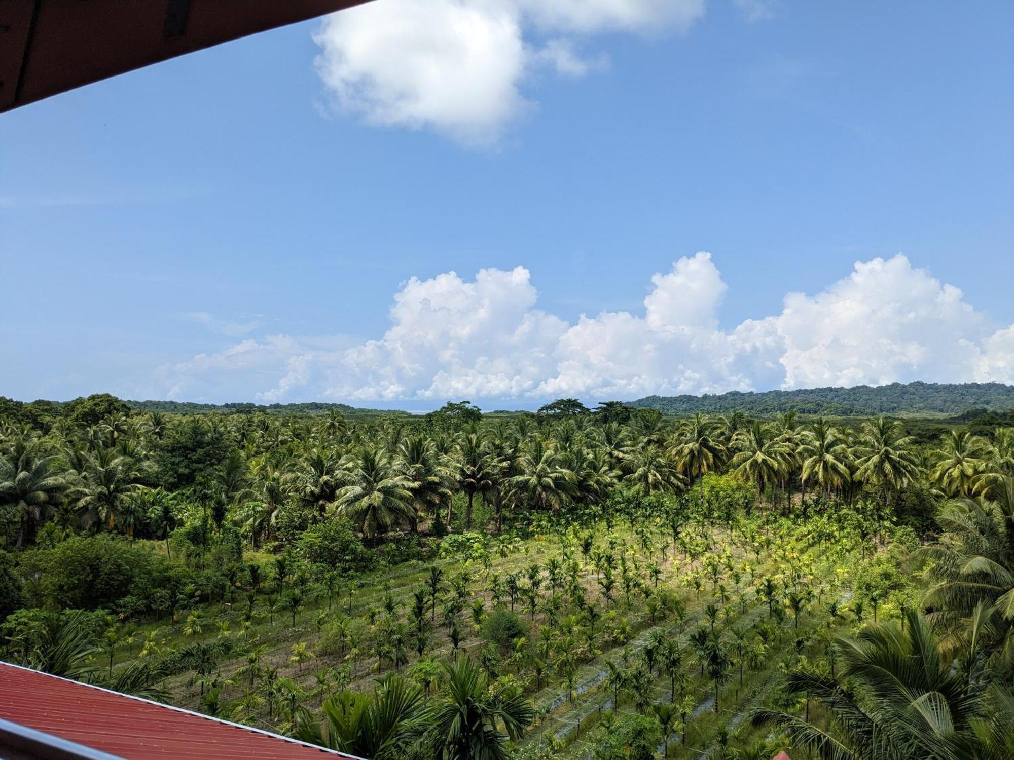 Parkresort - Organic Farm Resort Kala Pathar Beach Ngoại thất bức ảnh